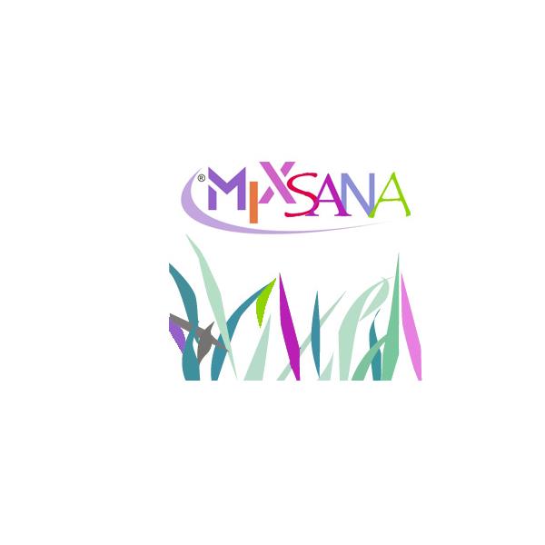 10 CIALDE ESPRESSO E SAMBUCA MIXSANA