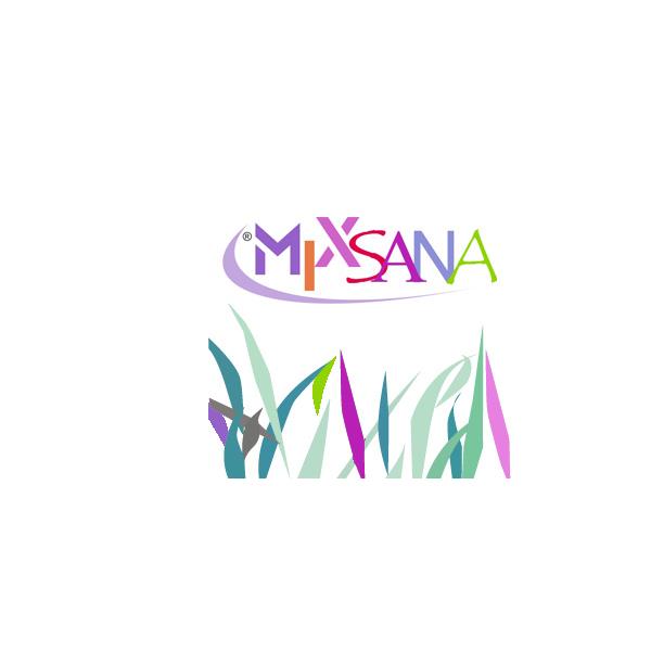 10 CIALDE ESPRESSO E ARANCIA MIXSANA 